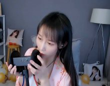 主播 阿稀稀大魔王 ASMR 视频音频合集下载【6V/17音频/929MB】