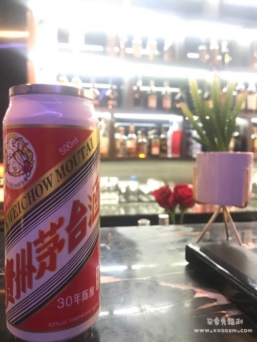 茅台创意个性保温杯 查酒驾的时候你敢喝口水吗？