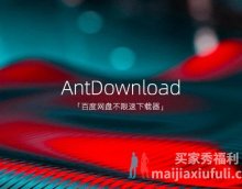 百度网盘不限速免登录下载器工具 AntDownload（蚂蚁下载器）