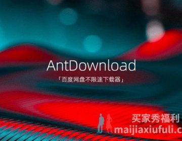 百度网盘不限速免登录下载器工具 AntDownload（蚂蚁下载器）