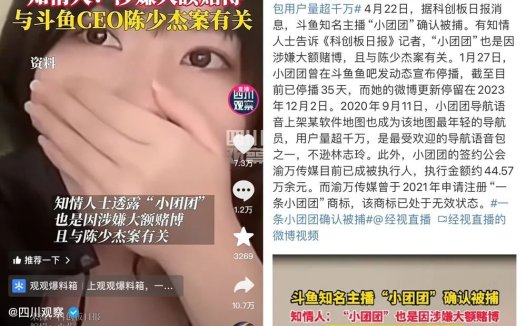 “一条小团团”已确认被捕？原因或是直播涉赌，粉丝仍坚信是造谣