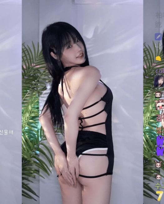 Twitch 韩国美女主播 BJ韩佳恩（BJ한갱）2024年5-6月直播热舞视频合集下载【9V/1.9G】